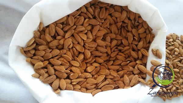 what is best types of mamra almond?