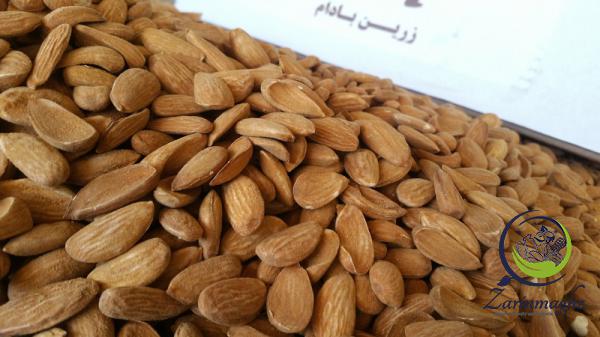 mamra almond exporting country