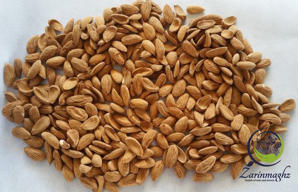 what are different sizes of mamra almond?