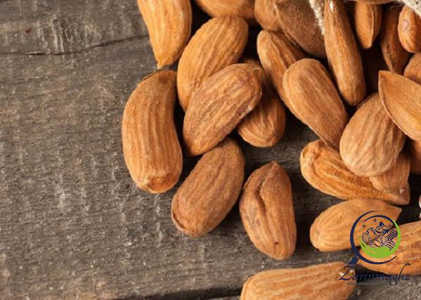 best quality mamra almond type in Asia