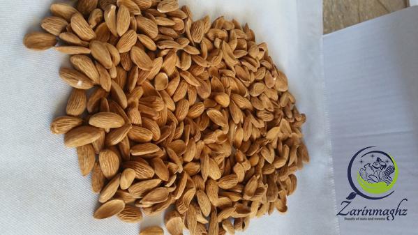 mamra almond sale price