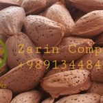Mamra Almond exporting country