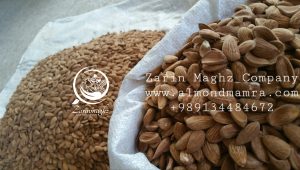 mamra almonds wholesale price