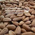 best mamra badam