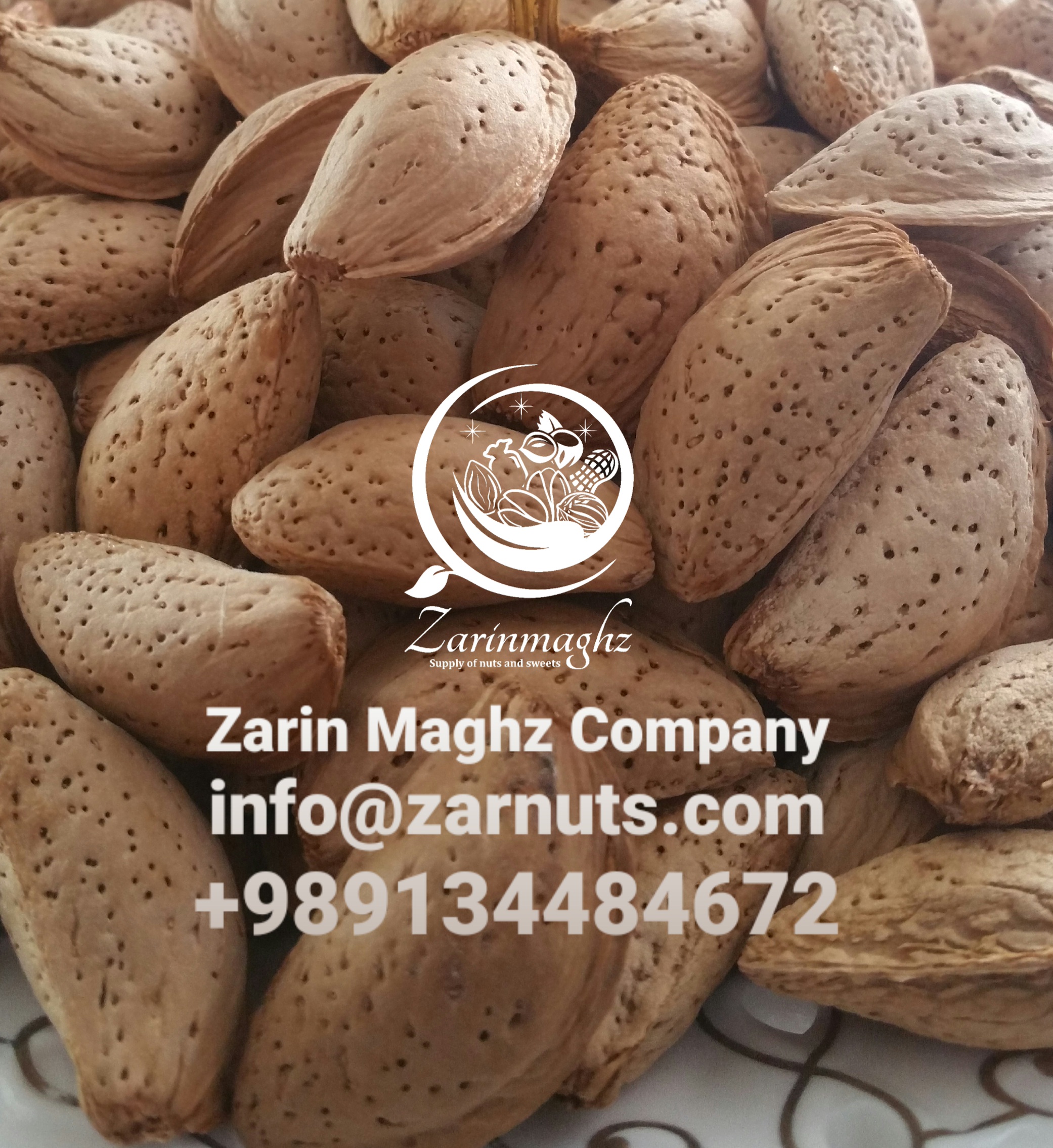 Mamra almond wholesale