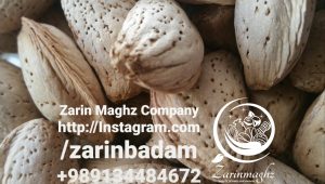 mamra almond exporting countries