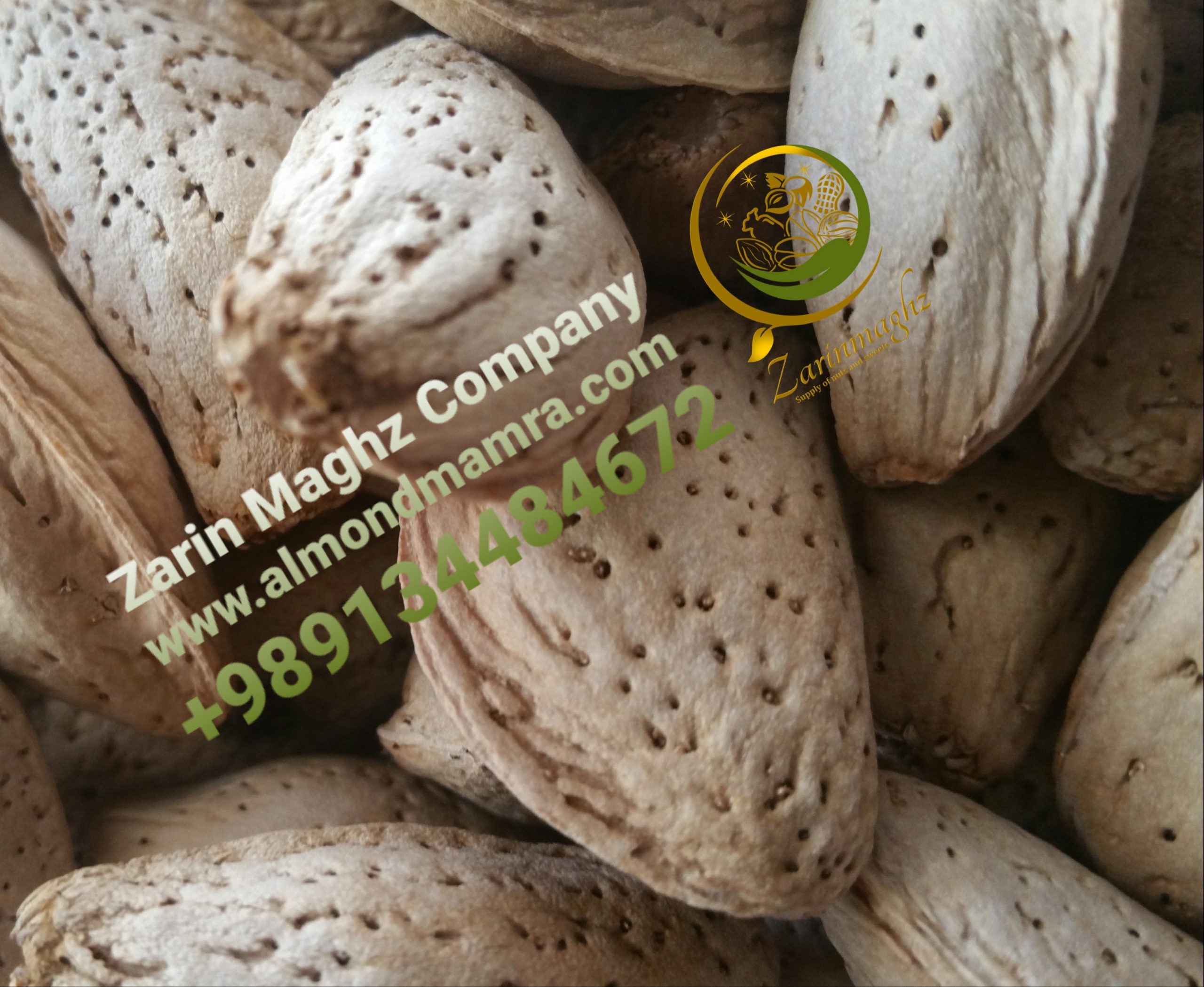mamra almond exporting countries