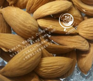 mamra almond suppliers