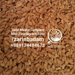 best mamra badam