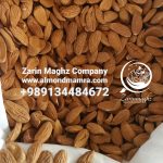 wholesalers of Mamra almond
