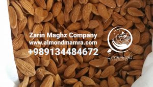 wholesalers of Mamra almond