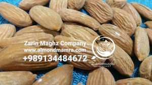 mamra almond exporting country